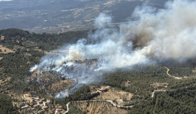 Balıkesir’de orman yangını denetim altına alındı