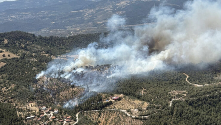 Balıkesir’de orman yangını denetim altına alındı