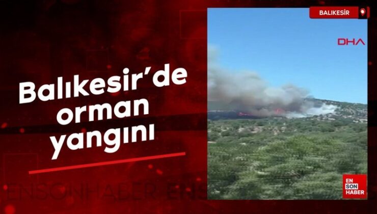 Balıkesir’de orman yangını: Havadan ve karadan müdahale sürüyor