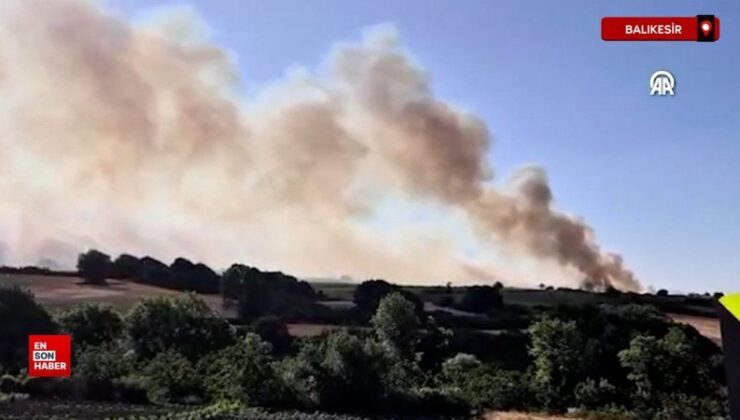Balıkesir’de yerde çıkan yangın denetim altında