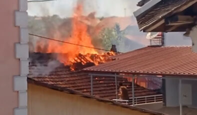 Bartın’da odunlukta başlayan yangında 2 konut kullanılamaz hale geldi