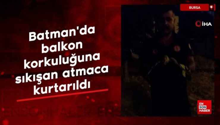 Batman’da balkon korkuluğuna sıkışan atmaca kurtarıldı
