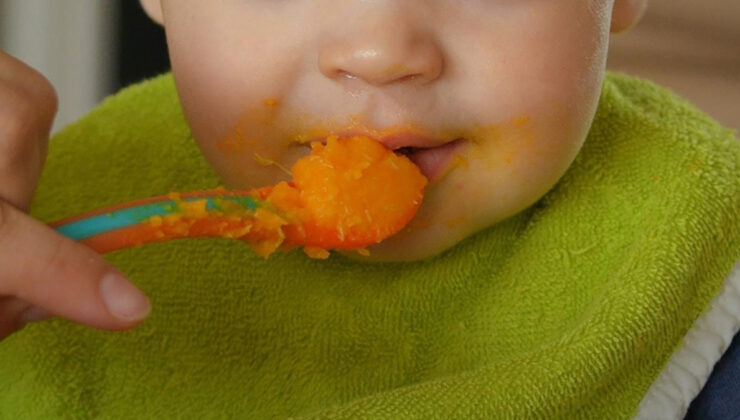 Bebeklere yönelik besin ve devam formüllerinin üretiminde düzenleme