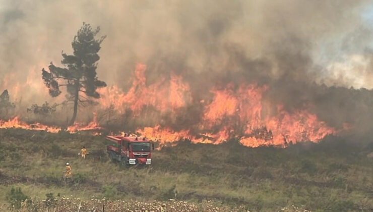 Bilecik’te bir orman yangını daha başladı