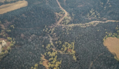 Bilecik’te ciğerlerimiz yandı