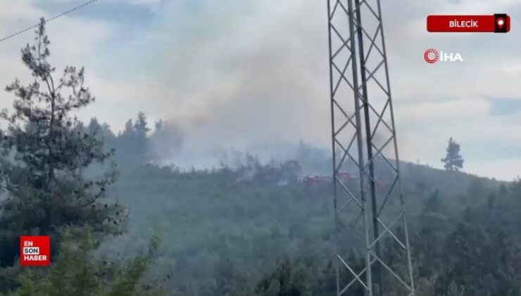 Bilecik’te orman yangını başladı