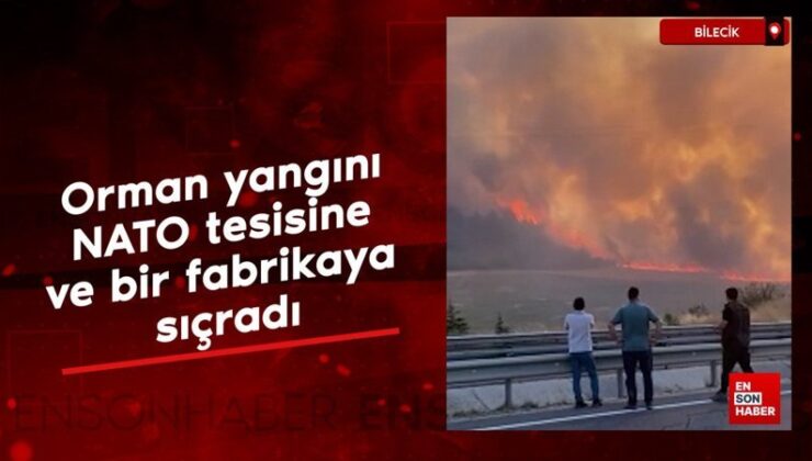 Bilecik’te orman yangını: NATO tesisine ve bir fabrikaya sıçradı