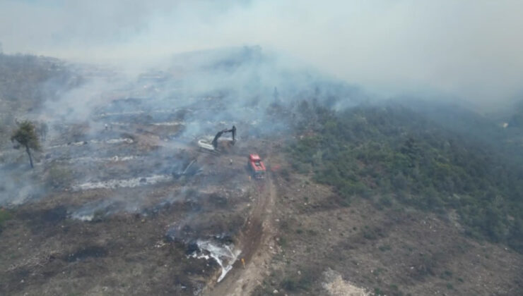 Bilecik’te orman yangının bıraktığı hasar görüntülendi