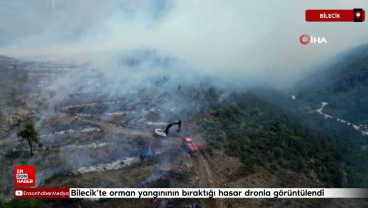 Bilecik’te orman yangınının bıraktığı hasar dronla görüntülendi