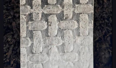 Bilim insanları pirinç yufkasından robot geliştirdi