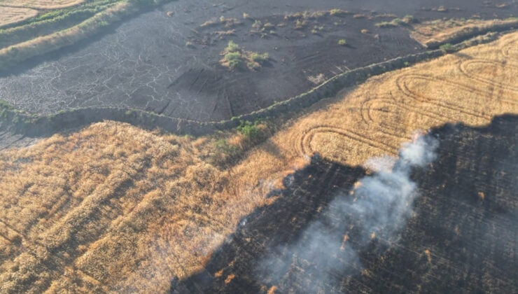 Bingöl’de buğday tarlalarında yangın