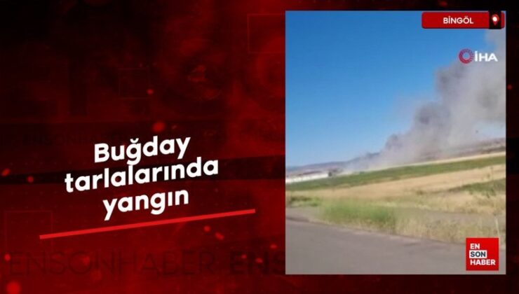 Bingöl’de buğday tarlalarında yangın