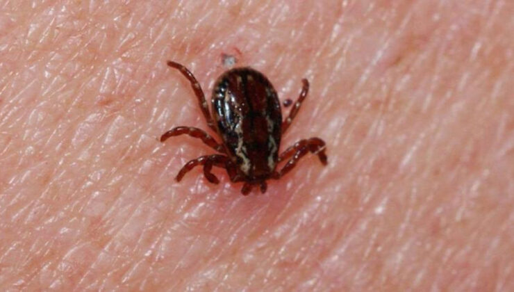 Bolu’da keneden birinci vefat