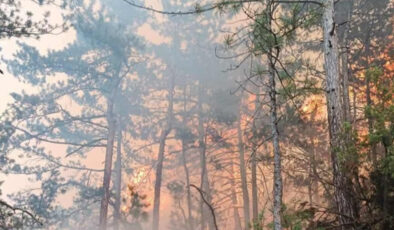 Bolu’da orman yangını havadan görüntülendi: 35 hektar alan ziyan gördü
