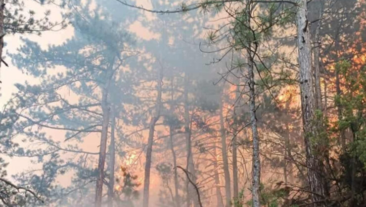 Bolu’da orman yangını havadan görüntülendi: 35 hektar alan ziyan gördü