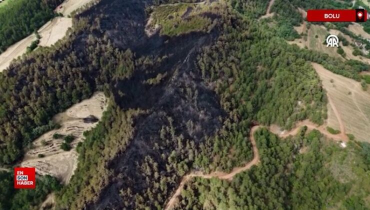 Bolu’daki orman yangınında ziyan gören 35 hektarlık alan görüntülendi