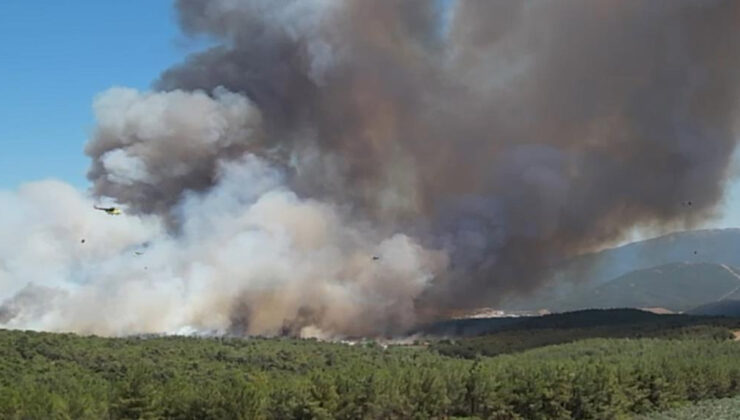 Bornova’da orman yangını