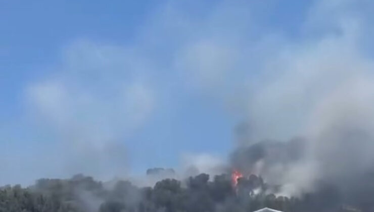 Bursa’da çıkan yangın denetim altına alındı