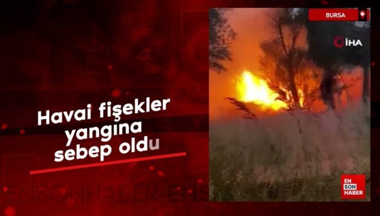 Bursa’da havai fişekler yangına sebep oldu