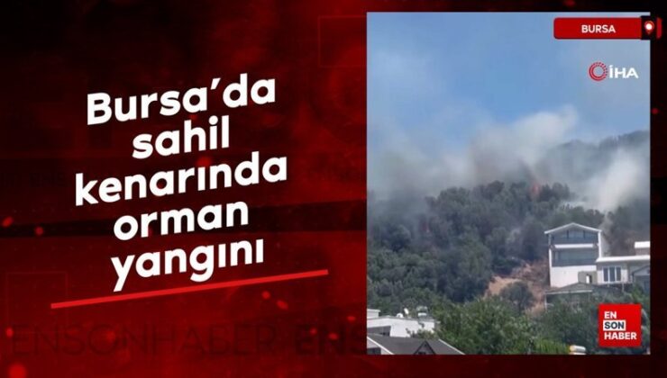Bursa’da kıyı kenarında orman yangını