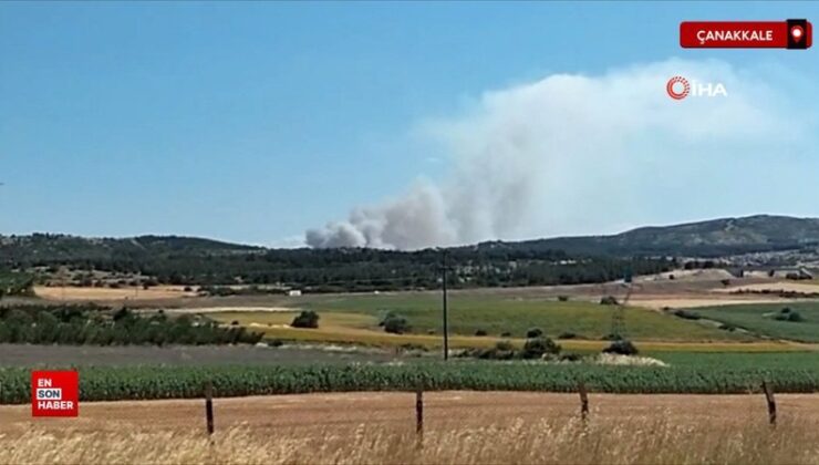 Çanakkale’de tarım yerinde yangın çıktı