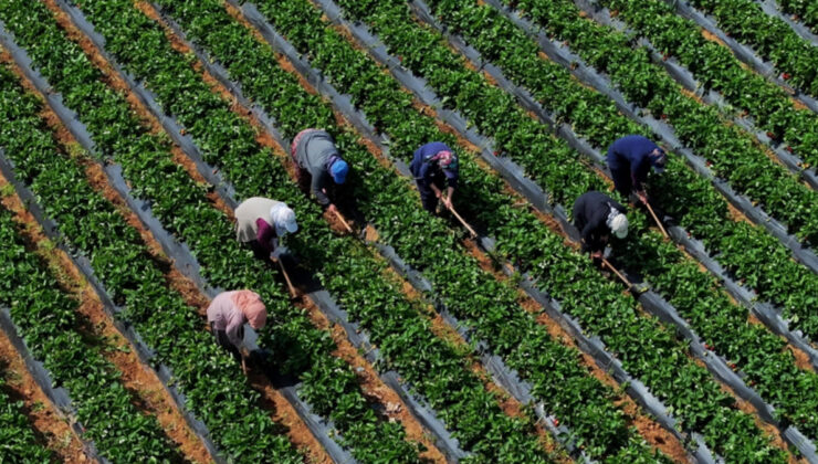 Çiftçilere 5,5 milyar lira takviye ödemesi bugün yapılacak