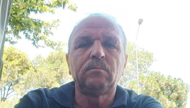 Denizli’de arı sokması sonucu kötüleşen yaşlı adam hayatını kaybetti