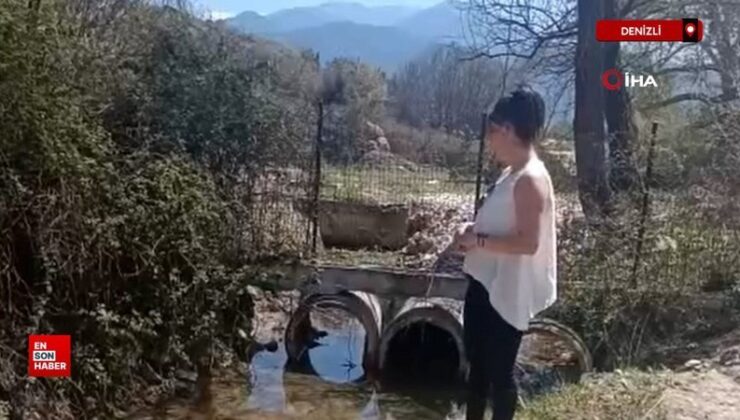Denizli’de bir garip su hengamesi