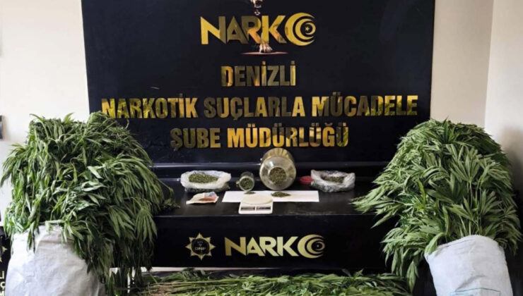 Denizli’de konutunda Hint keneviri yetiştiren kuşkulu yakalandı