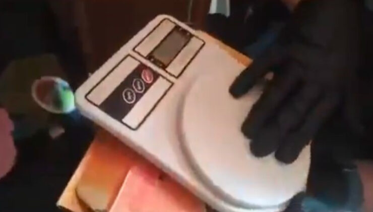 Denizli’de konutunun bahçesinde 290 kök kenevir yetiştiren şahıs yakalandı