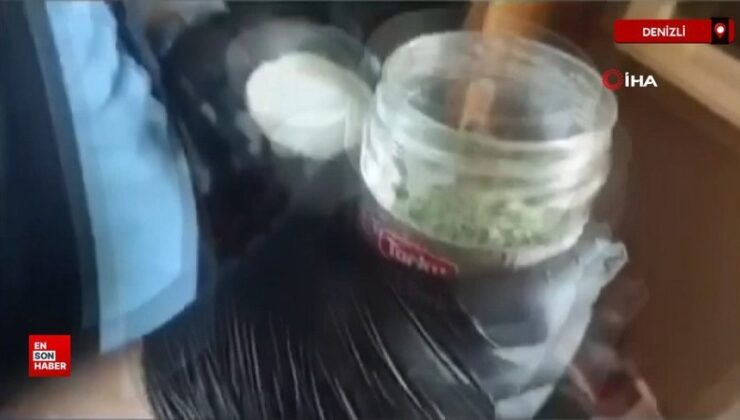 Denizli’de meskeninin bahçesinde 290 kök kenevir yetiştiren kuşkulu tutuklandı