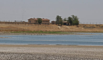 Diyarbakır’ın kuş cennetinde kuraklık tehdidi