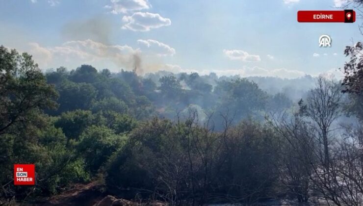 Edirne’de çıkan orman yangınına müdahale ediliyor