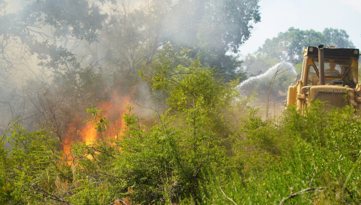 Edirne’de orman yangını