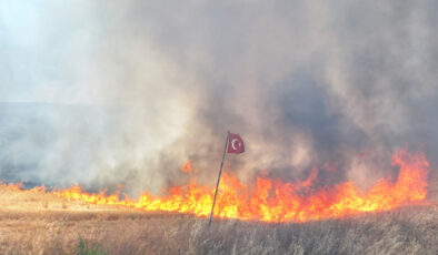 Edirne’de tarım yerlerine sıçrayan yangın denetim altına alındı
