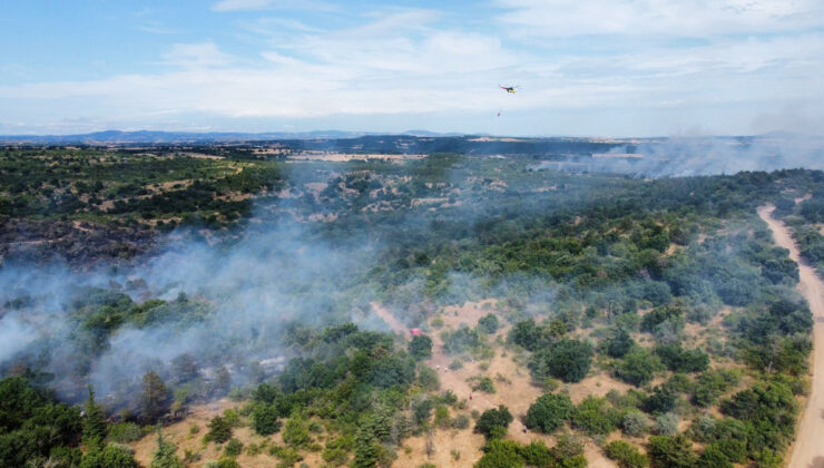 Edirne’deki orman yangını denetim altında