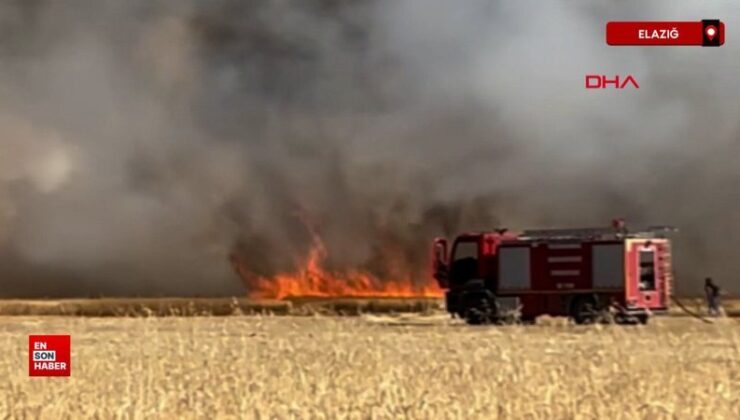 Elazığ’da ekili toprakta yangın