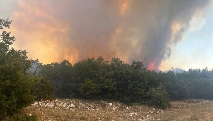 Eskişehir’de orman yangını