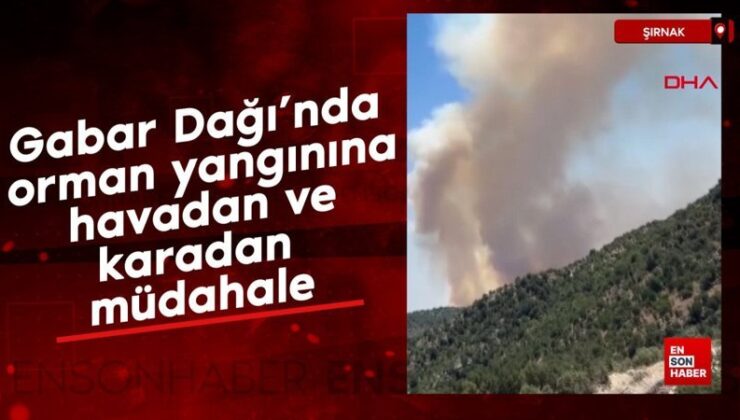 Gabar Dağı’nda orman yangınına havadan ve karadan müdahale
