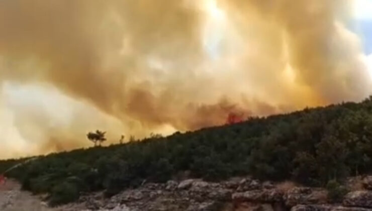 Gaziantep’te orman yangını