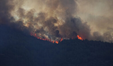Gediz Elektrik: İzmir’deki yangınlarla ilgimiz yok