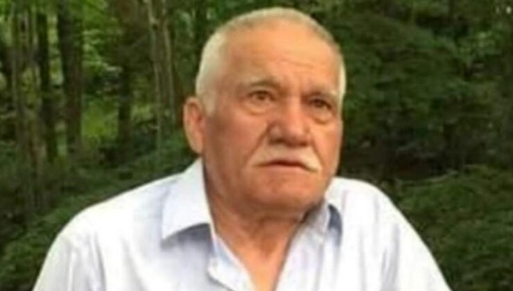 Giresun’da arı sokan çiftçi hayatını kaybetti