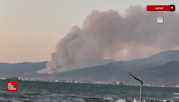 Hatay Dörtyol’da orman yangını çıktı! Müdahale sürüyor