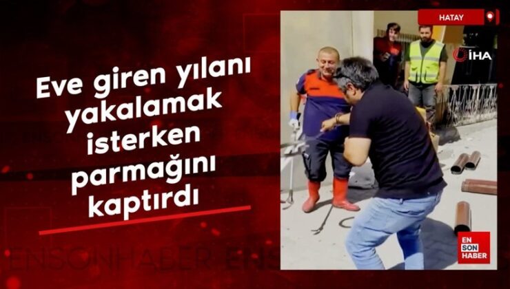 Hatay’da meskene giren yılanı yakalamak isterken parmağını kaptırdı