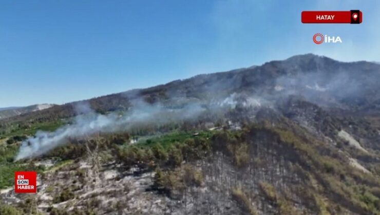Hatay’da orman yangının tesirli olduğu bölge havadan görüntülendi