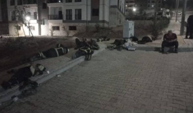 Hatay’da saatler süren yangında yorgun düşen Yangın Savaşçıları’ yerde uyuyarak dinlendiler