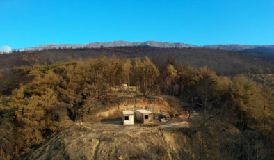 Hatay’da yanan alanlar görüntülendi