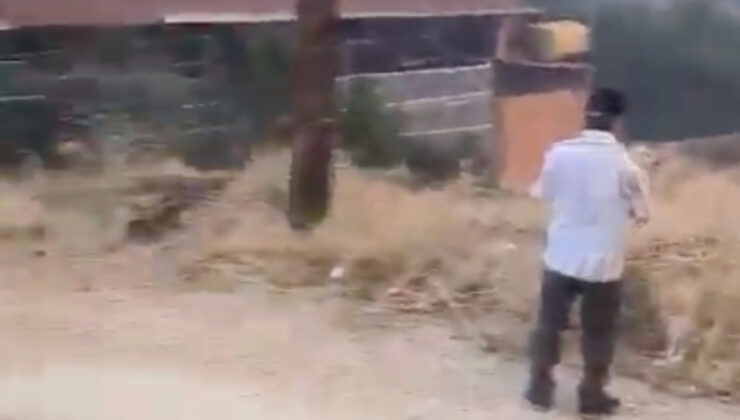 Hatay’da yangın sürüyor: Vatandaşların feryatları yürekleri burktu