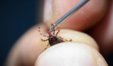 Her kene öldürmüyor: KKKA’dan mevt oranı yüzde 5