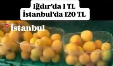 “Iğdır’da kayısı 1 TL İstanbul’da 120 TL satılıyor’ savına ceza